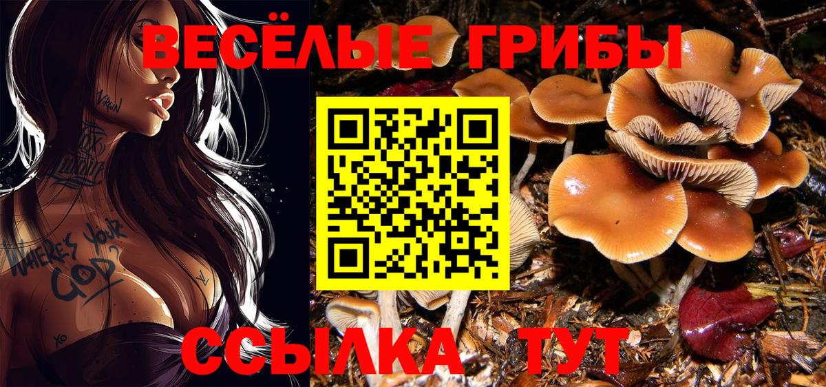Галлюциногенные грибы Cubensis Баксан