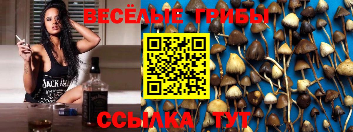 Баксан  Галлюциногенные грибы прущие грибы  Вход с VPN 